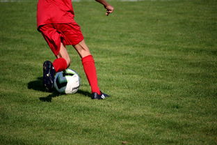 Kaiyun APP-体育新闻中心发布体育短视频内容运营新策略，体育短视频存在的问题